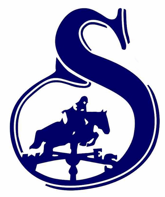 SF Logo 20th anniversary (535x640)